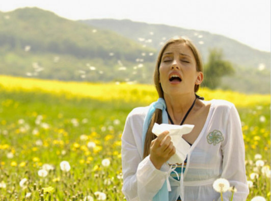 ALLERGIE STAGIONALI Image