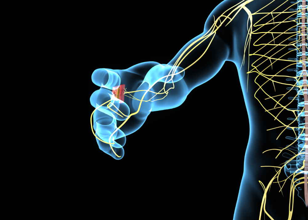NEUROPATIE PERIFERICHE Image
