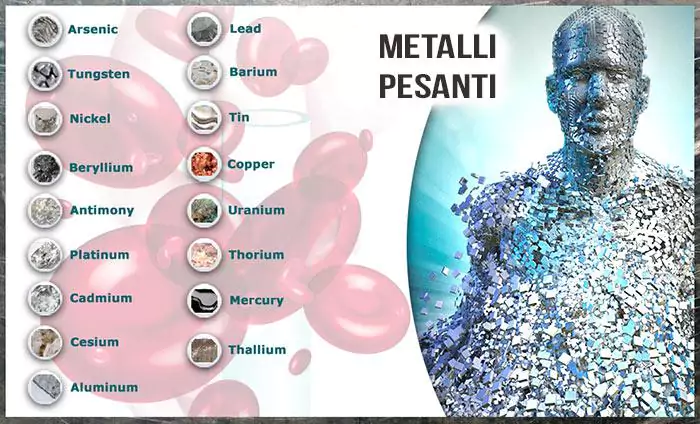 TOSSICITÀ DEI METALLI PESANTI NELL'AUTISMO 