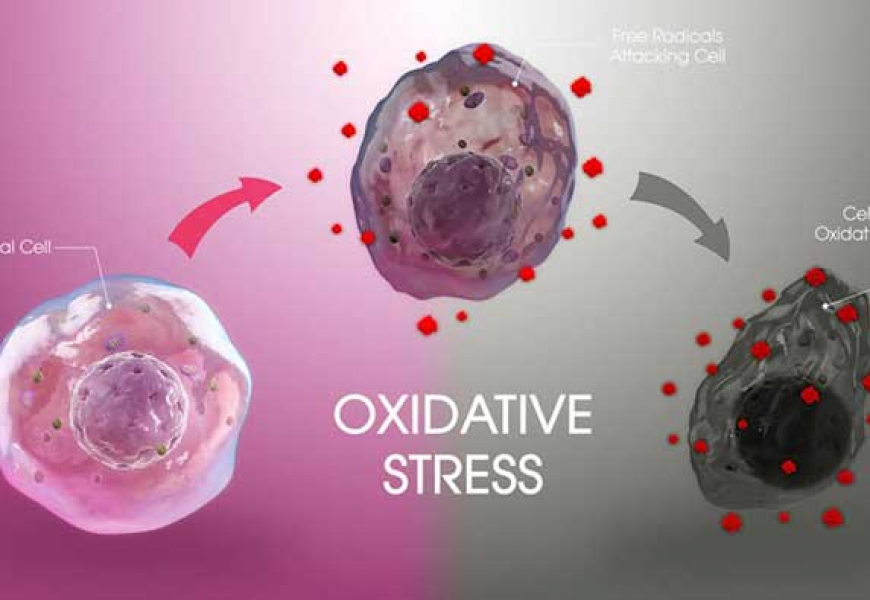 OZONOTERAPIA PER COMBATTERE LO STRESS OSSIDATIVO